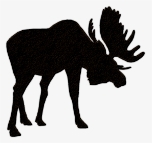 Moose Elk Hunting Bear Clip Art - Beware Of Moose Sign, HD Png Download, Free Download