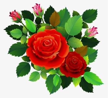 Roses Flowers Floral Romantic Rose Bush Bouquet - Garden Roses, HD Png Download, Free Download