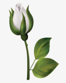 Rose Bush Clipart File - Flower Bud Clip Art, HD Png Download, Free Download