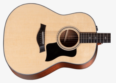 Taylor 317 Front Crop, HD Png Download, Free Download