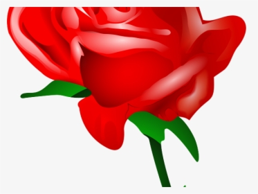 Transparent Clipart Of Roses - Rose Love Photo Download, HD Png Download, Free Download