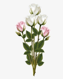 White And Pink Rose Bouquet Transparent Png Clip Art - Flower Bouquet Png, Png Download, Free Download