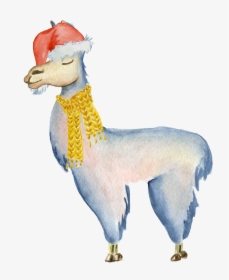 Clip Art Alpaca Drawing Transprent Png - Llama Watercolor, Transparent Png, Free Download