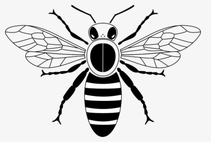 Honeybee Black And White, HD Png Download, Free Download