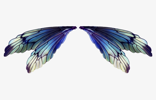 Transparent Fairy Wings Png, Png Download, Free Download
