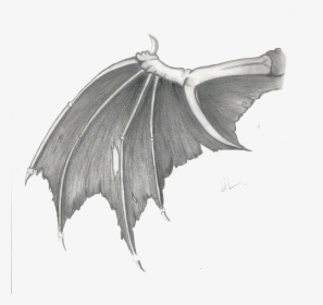 Drawings Of Bat Wings, HD Png Download, Free Download
