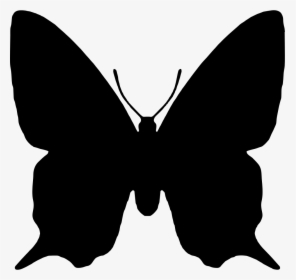 Butterfly Insect Animal Shape - Butterfly Shape Png, Transparent Png, Free Download