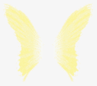 Clarion’s Wings set On A Black Background Under Read - Fairy Wings On Black Background, HD Png Download, Free Download