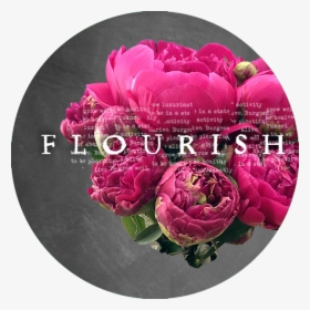 Flourish Night, HD Png Download, Free Download