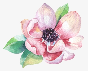 Magnolia3 - Magnolia Flower Watercolor Png, Transparent Png, Free Download