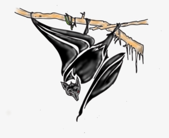 Bat Tattoos Design - Illustration, HD Png Download, Free Download