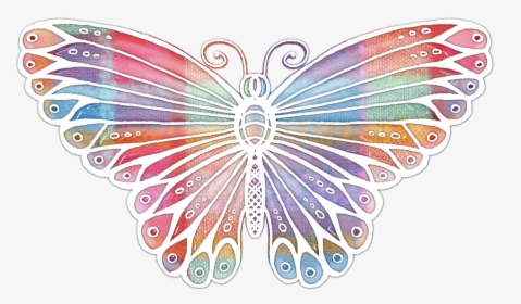 Butterfly, Colorful, Flight, Fly, Flying, Insect - Transfotrmation To A New Life, HD Png Download, Free Download