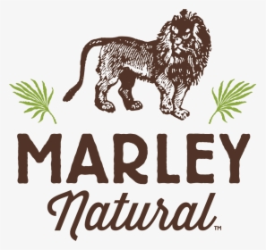 Marley Brands, HD Png Download, Free Download