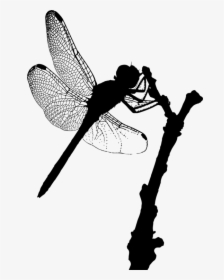 Fly,dragonfly,silhouette - Flying Dragonfly Silhouette, HD Png Download, Free Download