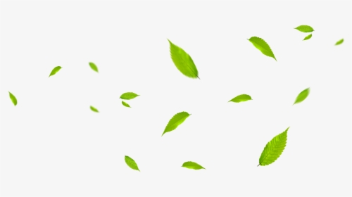 Green Leaves Fly With The Wind Png Download - Green Leaves Falling Png, Transparent Png, Free Download