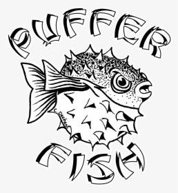 Puffer Fish - Pufferfish Drawings, HD Png Download, Free Download
