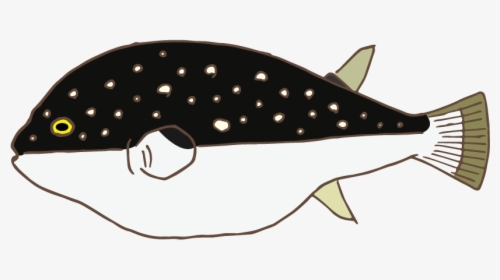 Puffer Fish - Killer Whale, HD Png Download, Free Download