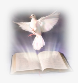 Confirmacion Paloma Png - Word Of God And The Holy Spirit, Transparent Png, Free Download