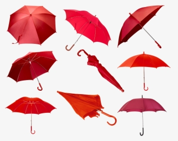 Umbrella Png - Umbrella, Transparent Png, Free Download