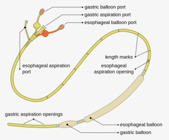 Sengstaken Blakemore Tube, HD Png Download, Free Download