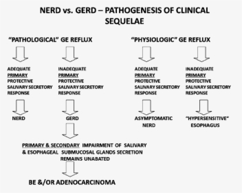 Despite Pathological Gastroesophageal Reflux, Patients - Gerd Pathogenesis, HD Png Download, Free Download