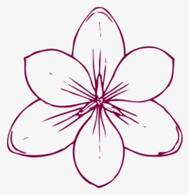 Flower Coloring Page Png, Transparent Png, Free Download
