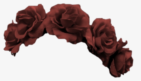 #red #crown #flower #rose #flowers #roses #tiara #burgundy - Transparent Flower Crown Png, Png Download, Free Download