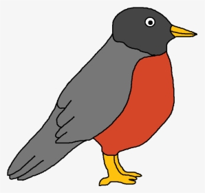 Robin Clipart, HD Png Download, Free Download