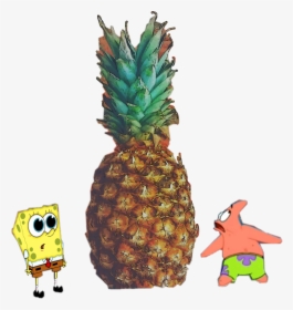 Transparent Spongebob Pineapple Png - Ananas Spongebob Patrick, Png Download, Free Download