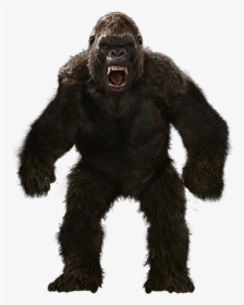 Free Render For Use - Kong Skull Island Transparent, HD Png Download, Free Download