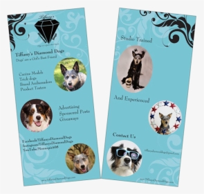Tdd Conferencecards - Coonhound, HD Png Download, Free Download