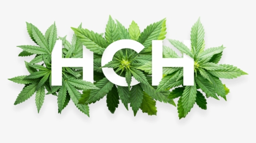 Transparent Weed - Cannabis, HD Png Download, Free Download