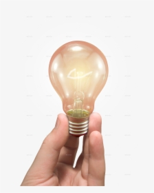 Hand Light Bulb Png, Transparent Png, Free Download